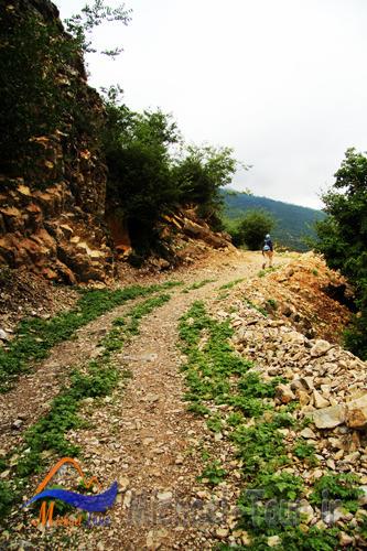 روستای سینه هونی روستای سینه هونی