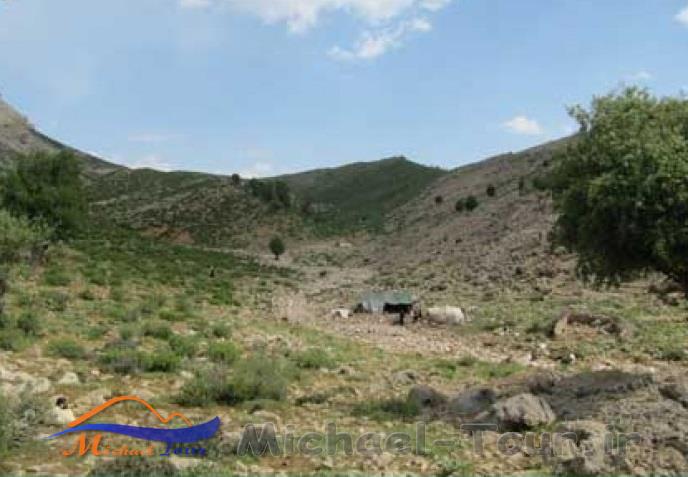 تنگ هونی