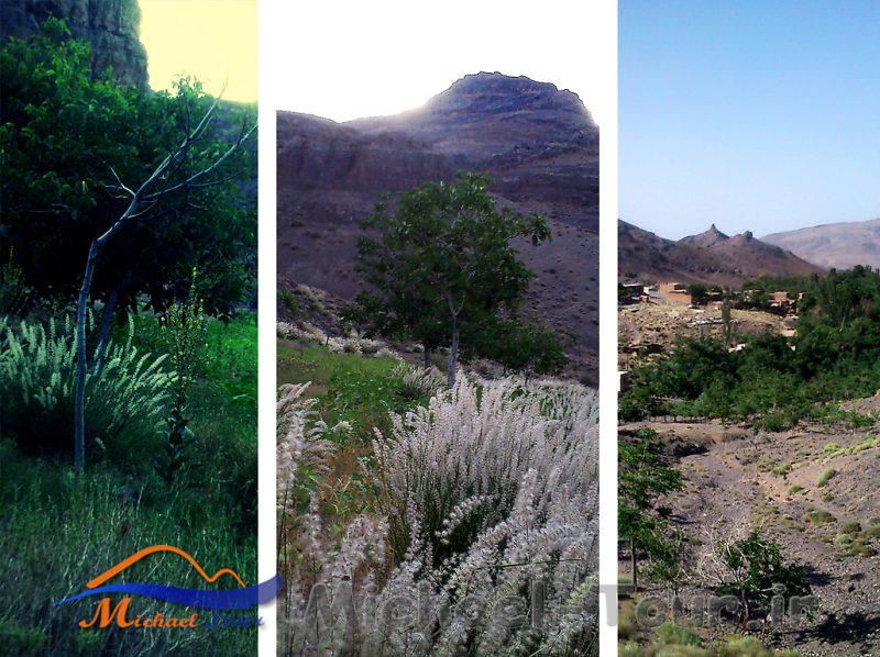 روستای داوران اردستان روستای داوران اردستان