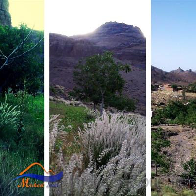 روستای داوران اردستان
