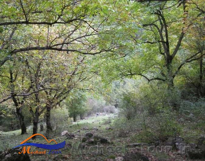منطقه دیزمار منطقه دیزمار