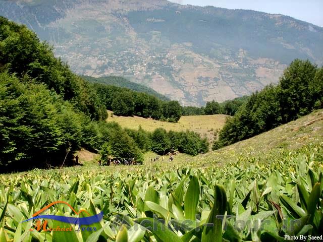 روستای امامزاده قاسم