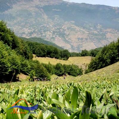 روستای امامزاده قاسم