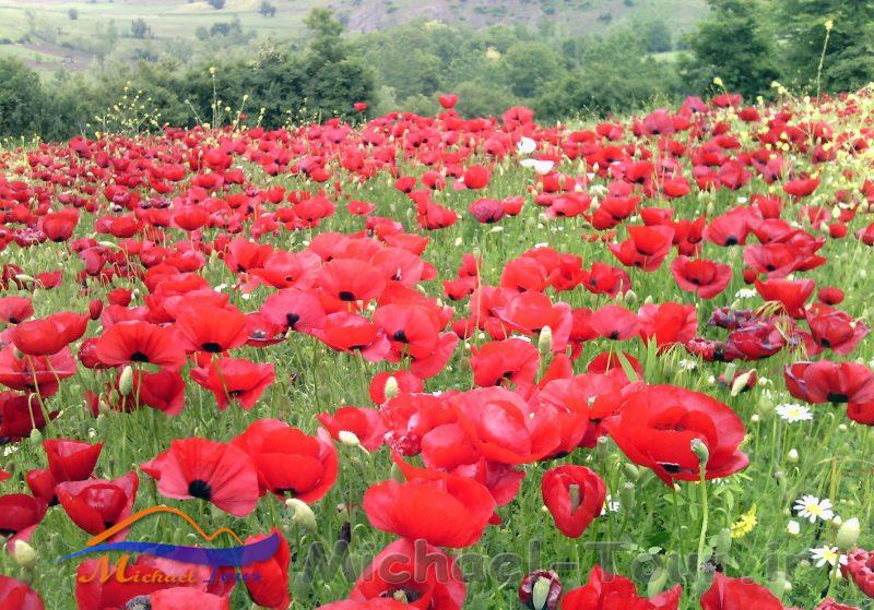 روستای چهارمحل