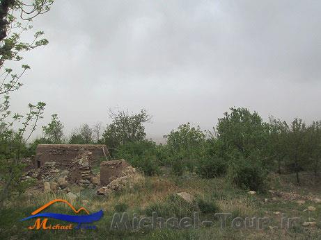 روستای ویدوجا