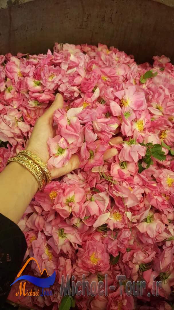 مهمانسرای گل بانو قمصر مهمانسرای گل بانو قمصر