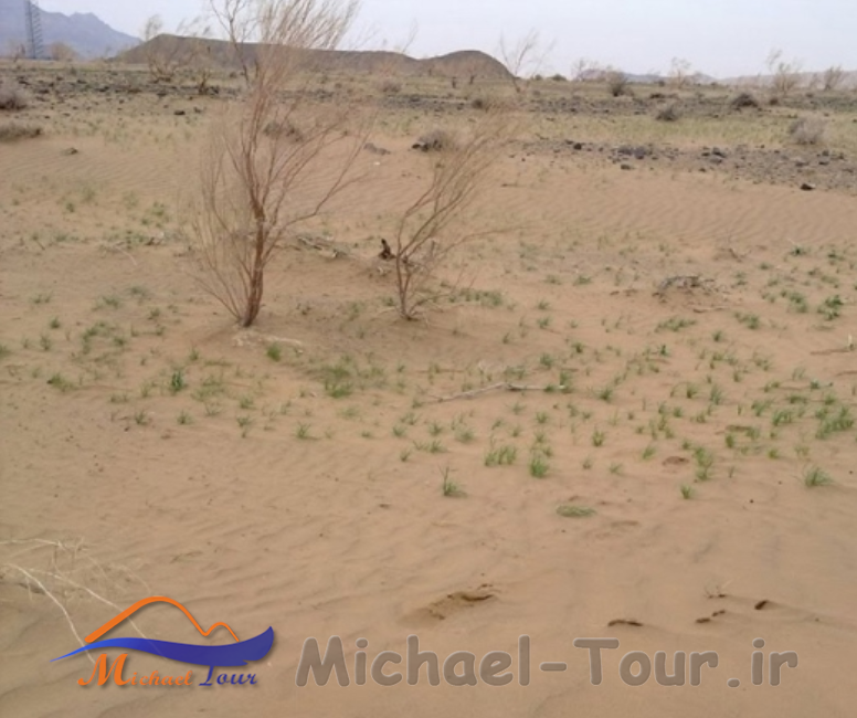 کویرحلوان طبس کویرحلوان طبس