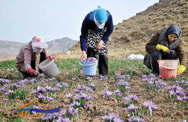 روستای وامنان روستای وامنان