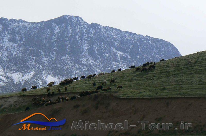 روستای گیجالی بالا روستای گیجالی بالا