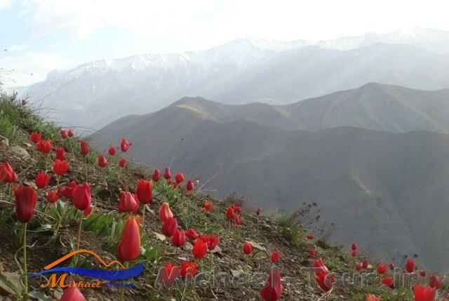 قله خونکار
