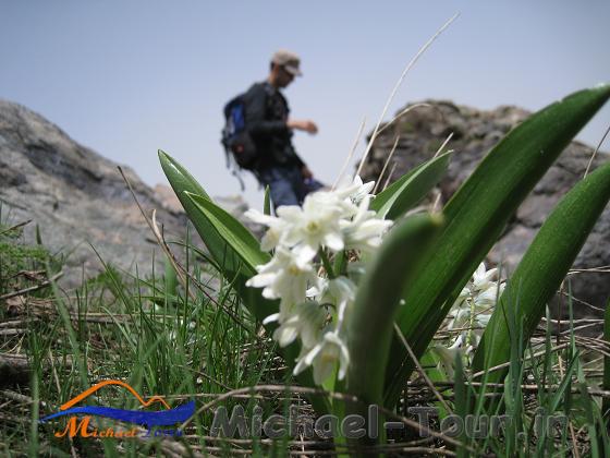 روستای باباعلی روستای باباعلی
