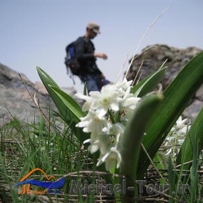 روستای باباعلی