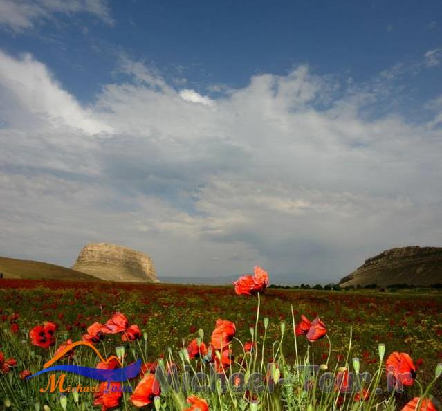 مجتمع گردشگری باری