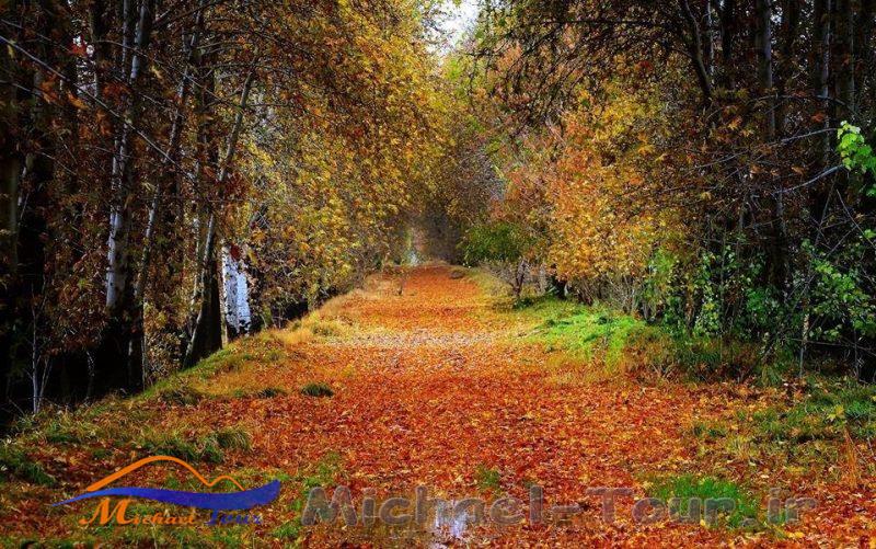 روستای برغان روستای برغان