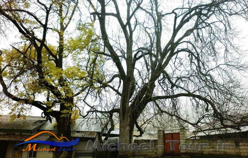 روستای خوشواش