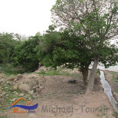 روستای ویدوجا