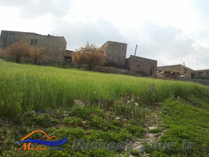 روستای المور روستای المور