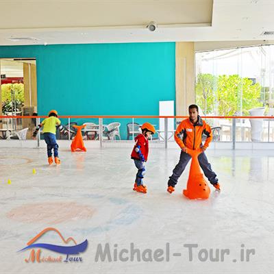 آیس رینک دامون