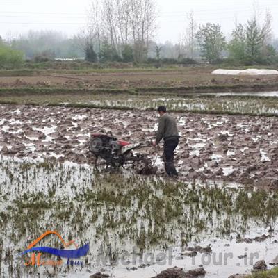 روستای چافوچاه