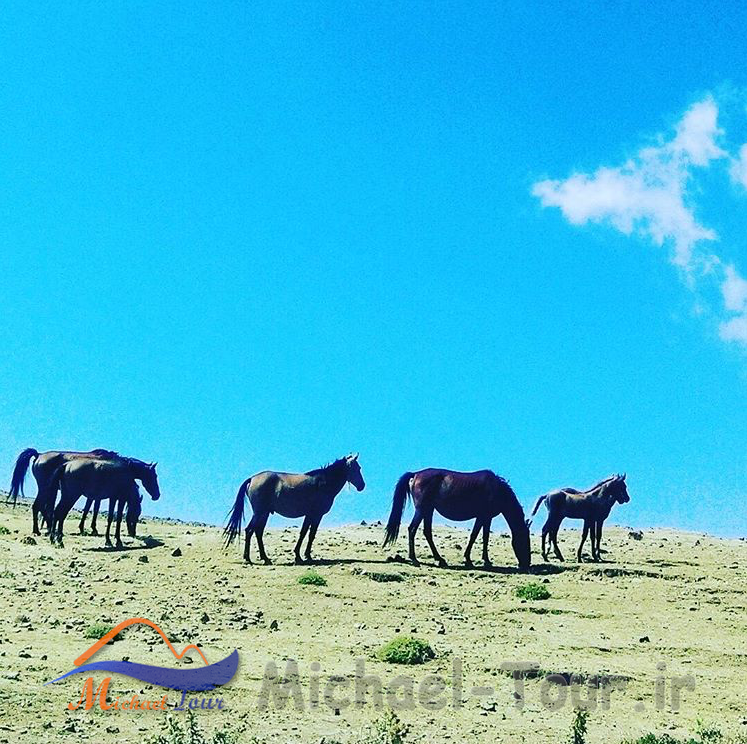 روستای سنگرج