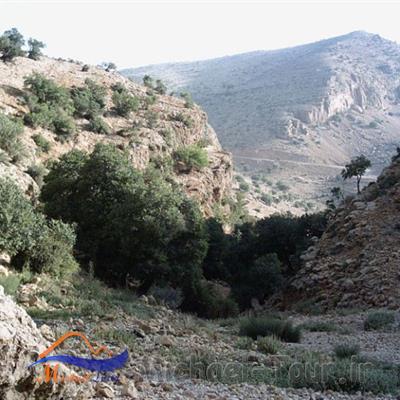 آبشار چیکان