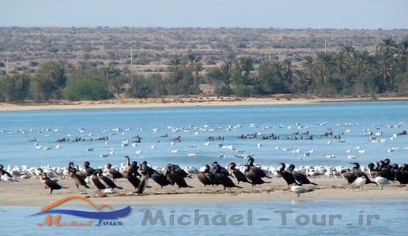 منطقه حفاظت شده حله منطقه حفاظت شده حله