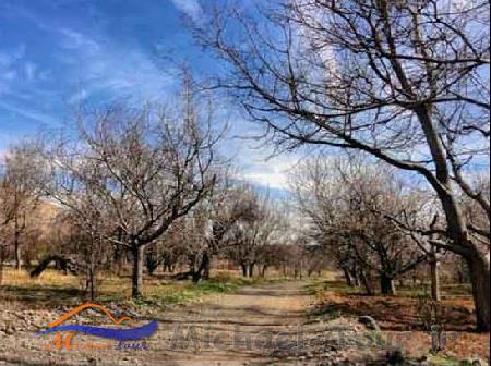 روستای علی آباد یزد روستای علی آباد یزد