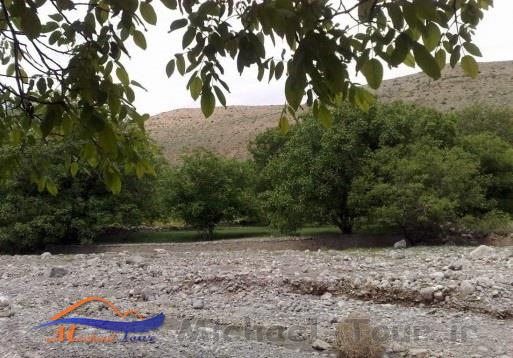 طبیعت اسفجیر طبیعت اسفجیر