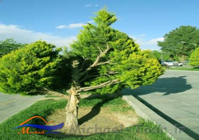 پارک ایثارگران اصفهان