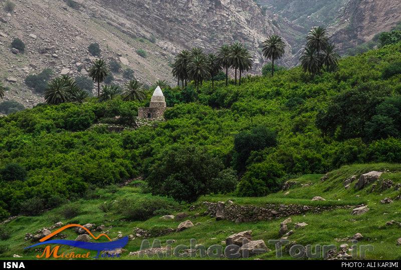 روستای شوی روستای شوی