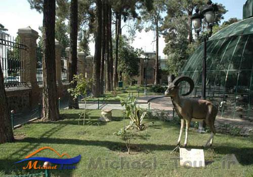 موزه حیات وحش هفت چنار موزه حیات وحش هفت چنار