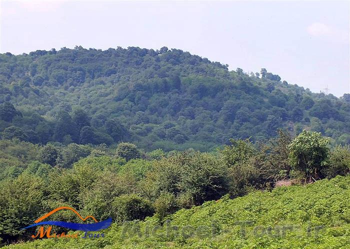 روستای شیاده روستای شیاده