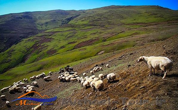 گردنه الماس