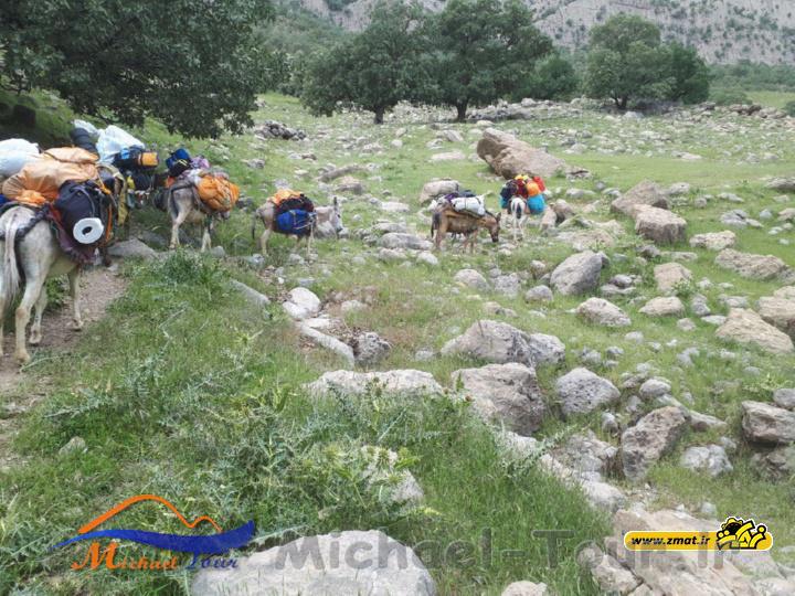 اقامتگاه بومگردی غریب در باشت