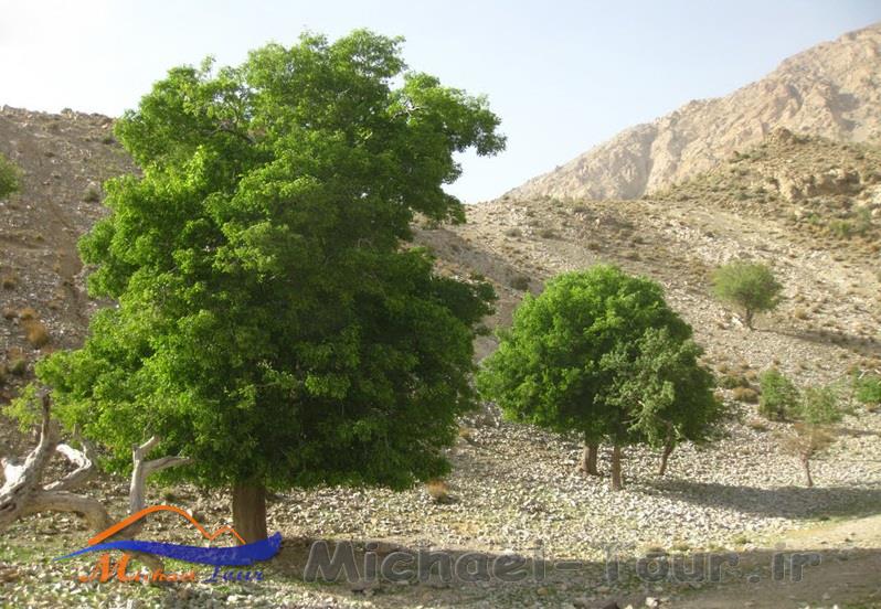 منطقه حفاظت شده کوه شیر منطقه حفاظت شده کوه شیر