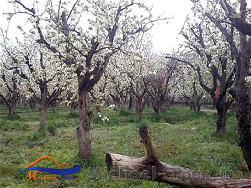 باغ فاتح کرج ( پارک تنیس )