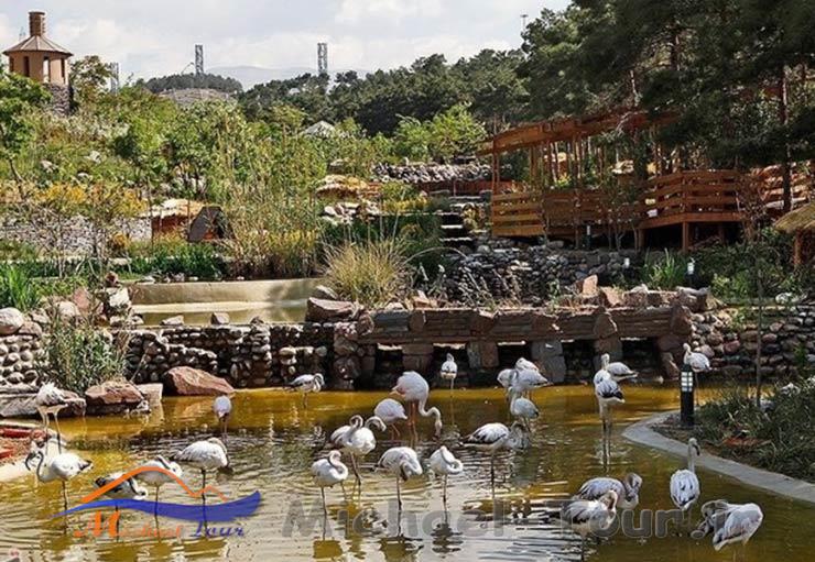 جاهای دیدنی مشهد در نوروز