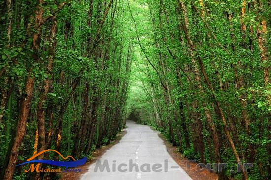 روستای ناو تالش